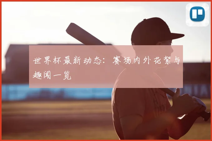 世界杯最新动态：赛场内外花絮与趣闻一览